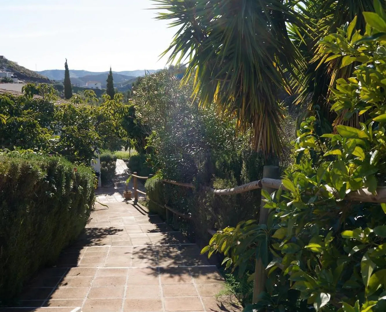 Cortijo Lagar De Luisa Guest House Borge Spain