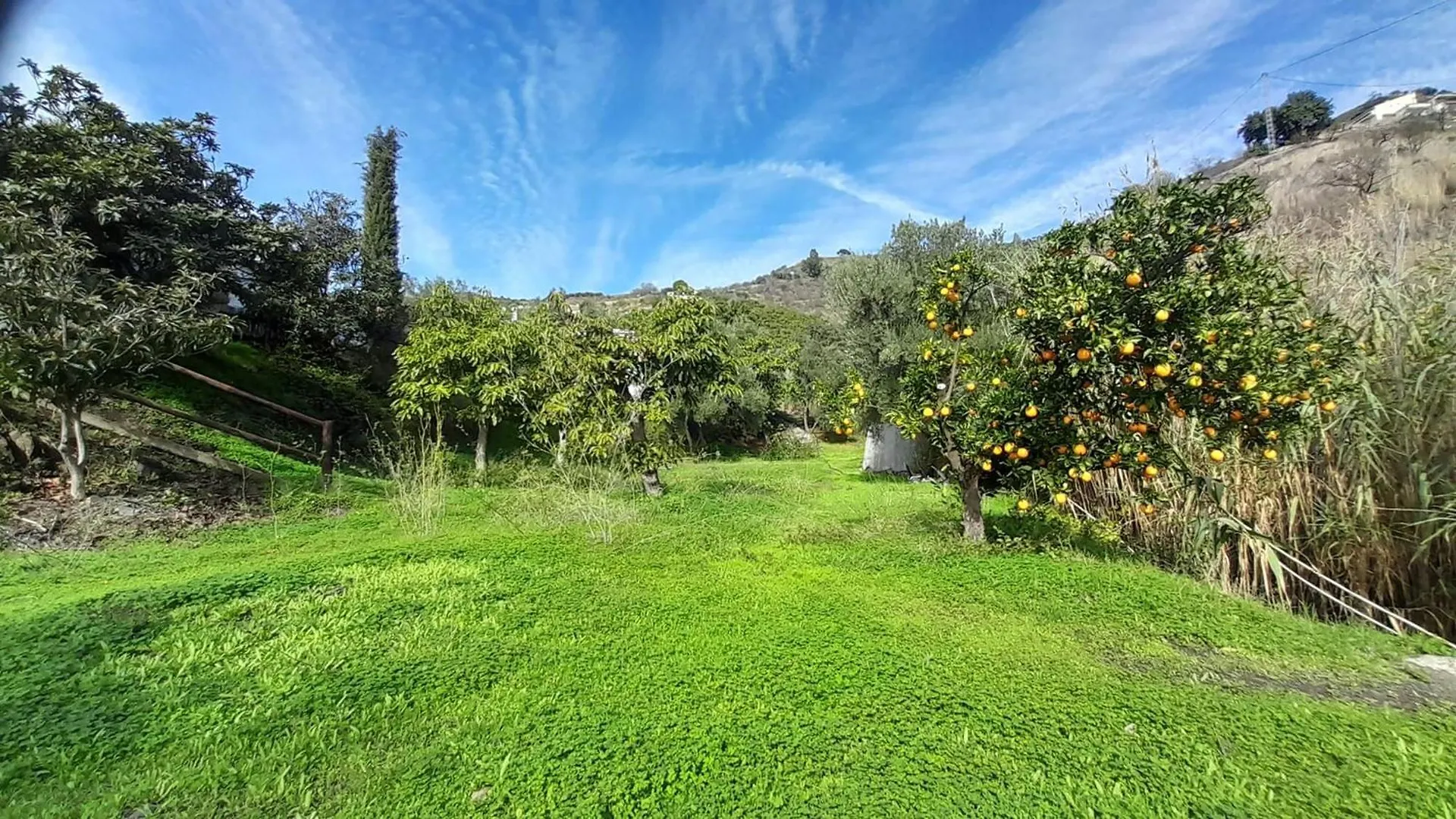 Cortijo Lagar De Luisa Guest House Borge