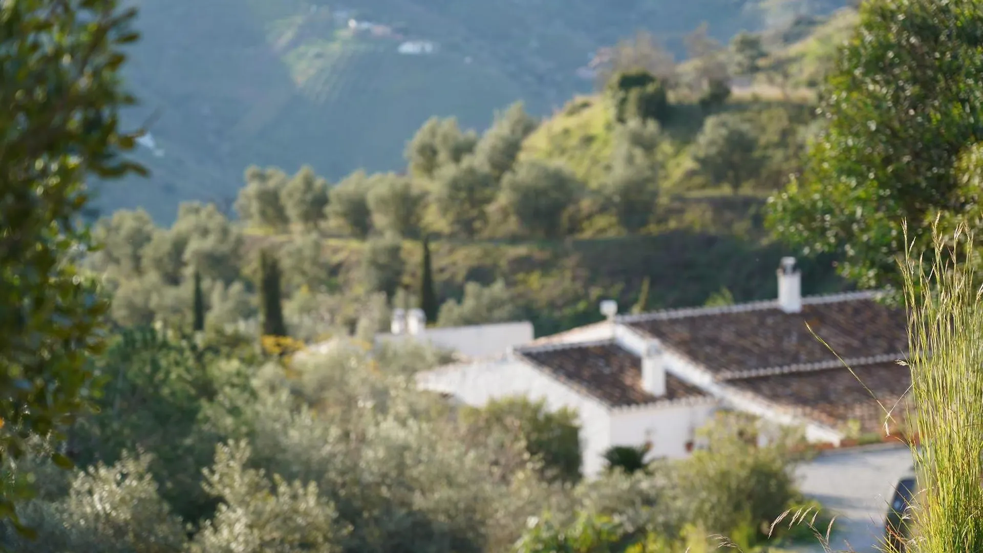 Borge Cortijo Lagar De Luisa旅馆 0*,  西班牙