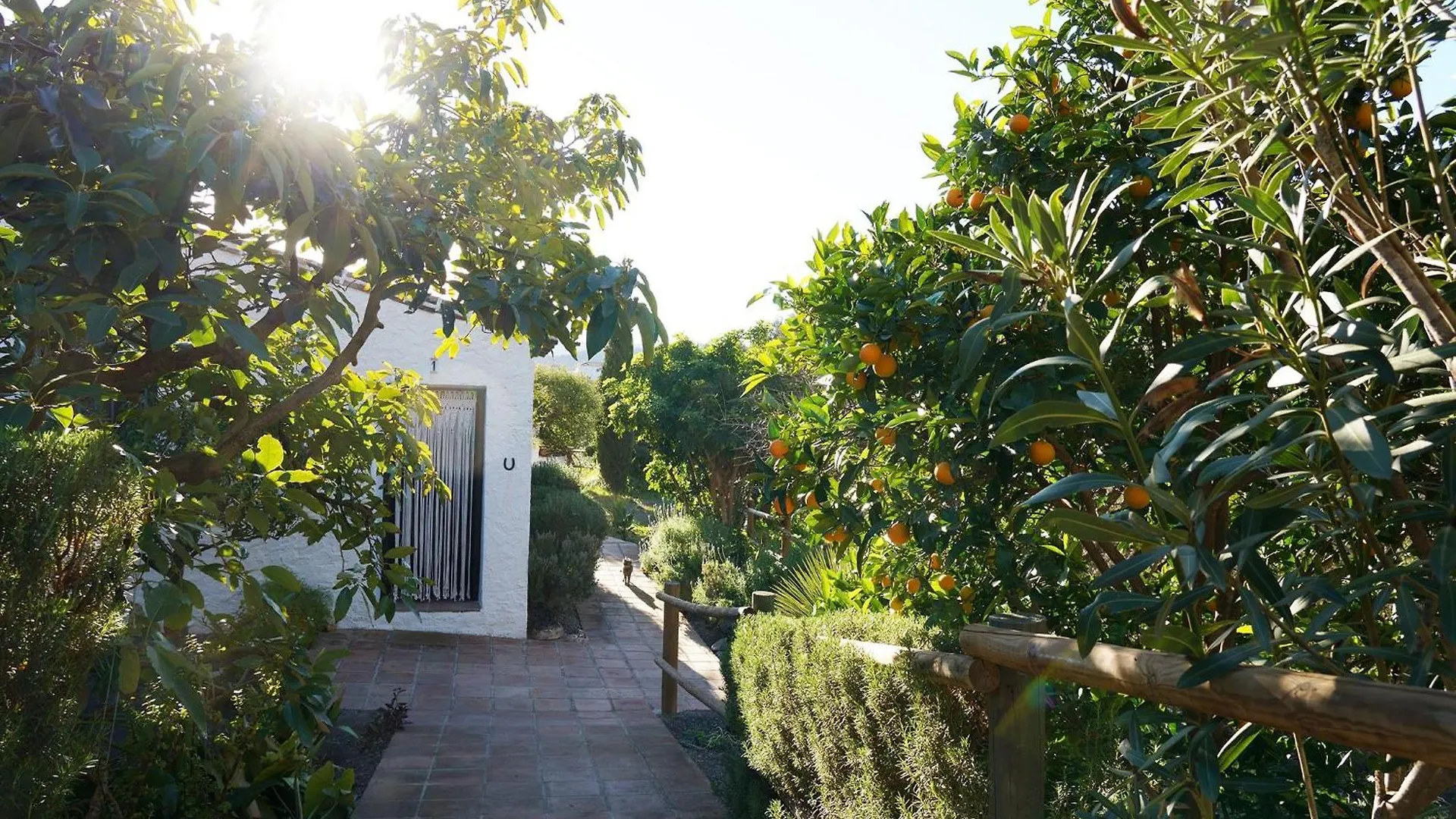 Borge Cortijo Lagar De Luisa旅馆 0*,  西班牙