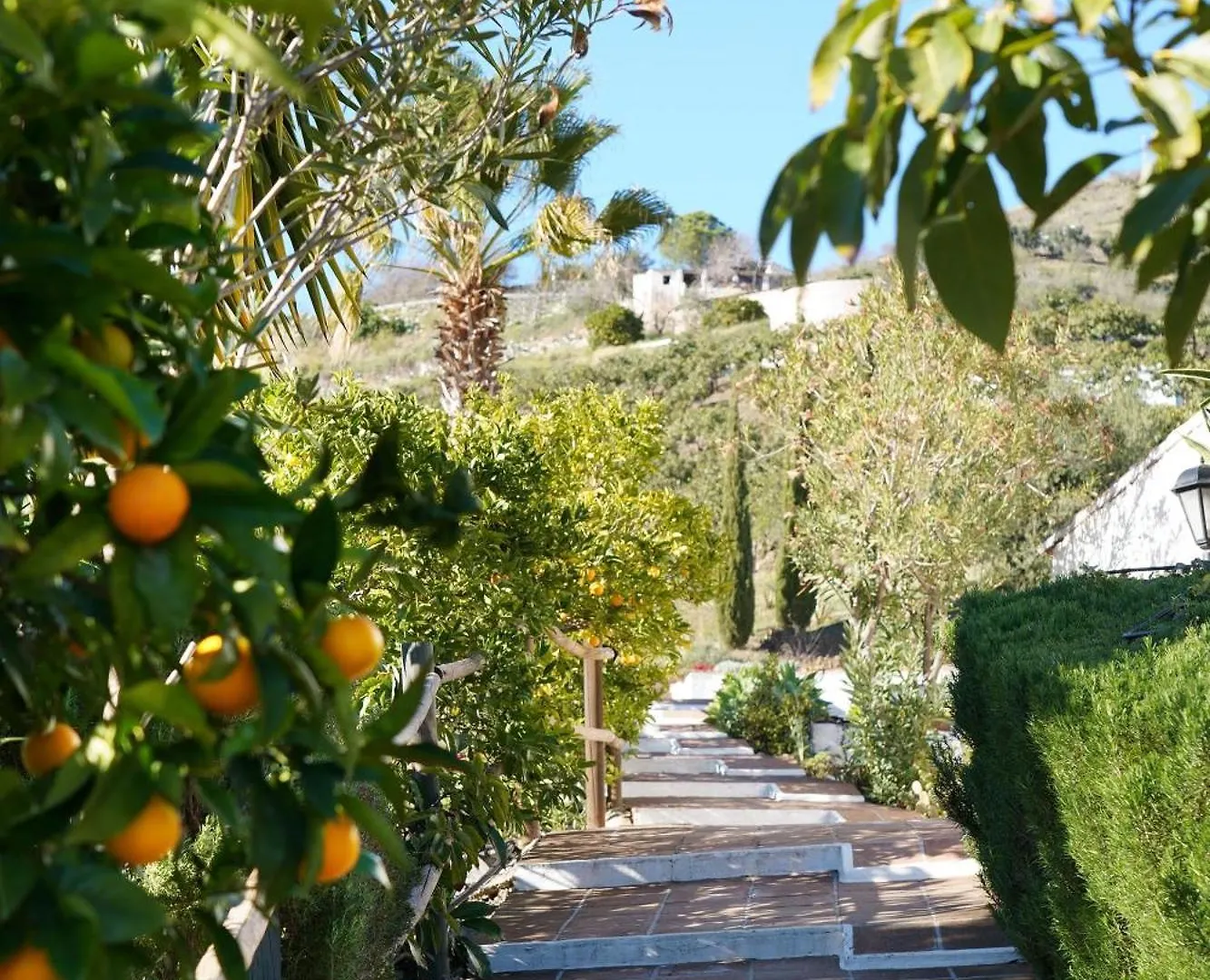 Cortijo Lagar De Luisa Guest House Borge Country house