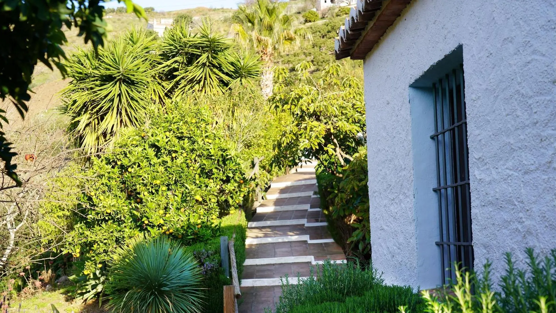 Maison d'hôtes Cortijo Lagar de Luisa à Borge Séjour à la campagne