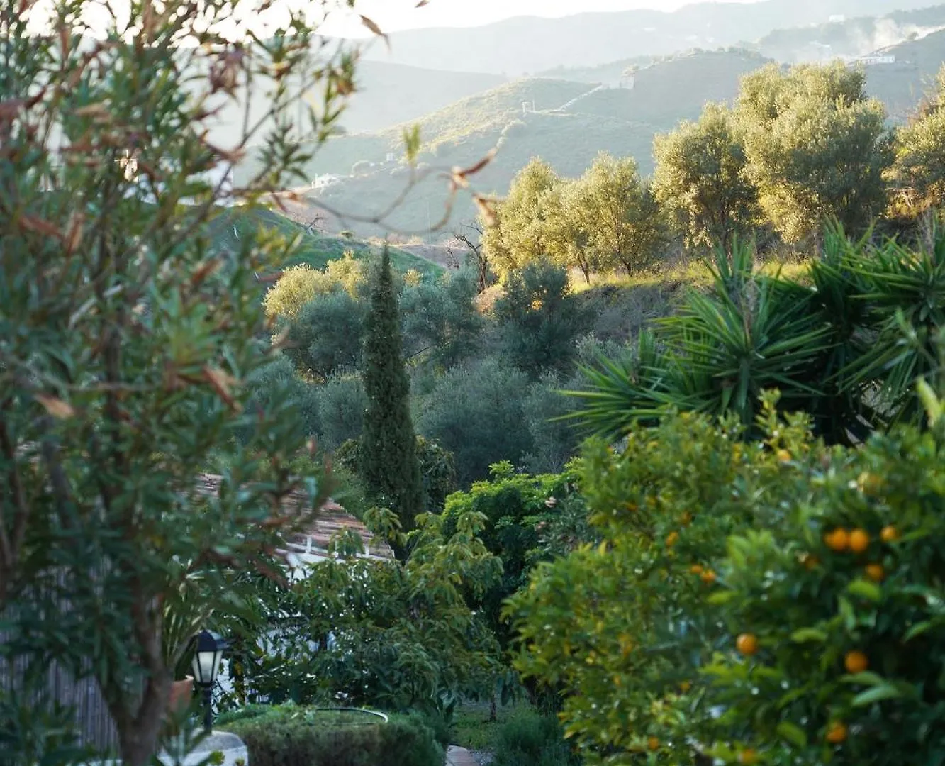 Maison d'hôtes Cortijo Lagar de Luisa à Borge Séjour à la campagne