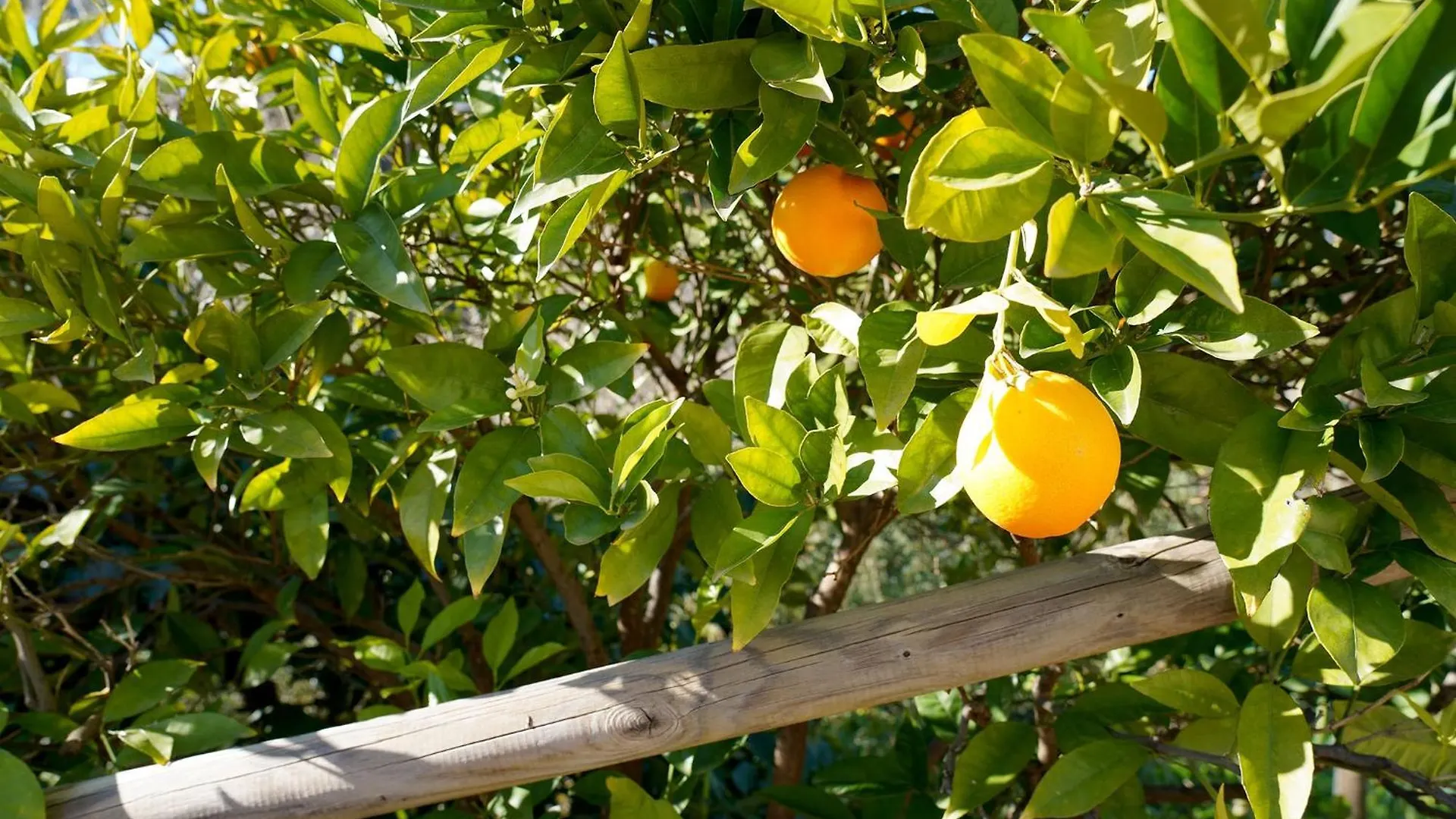 Séjour à la campagne Maison d'hôtes Cortijo Lagar de Luisa à Borge Espagne